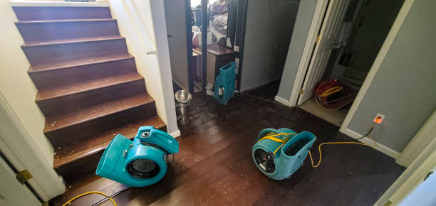 Best Water damage restoration near me  in Earlvle, IL