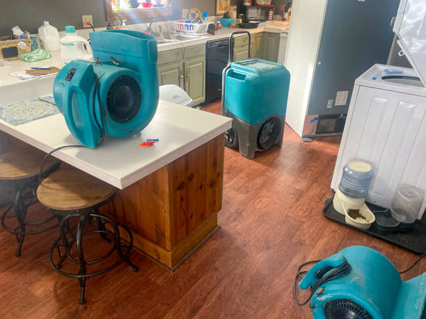 Best Mold removal after water damage  in Earlvle, IL