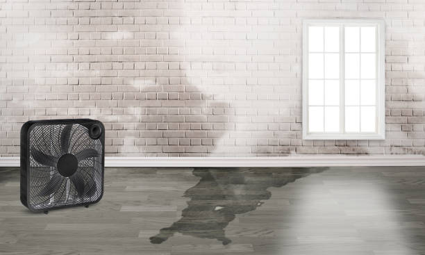 Professional Water damage restoration in IL