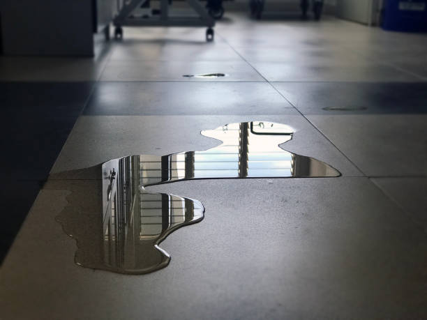 Best Water damage cleanup near me  in Earlvle, IL