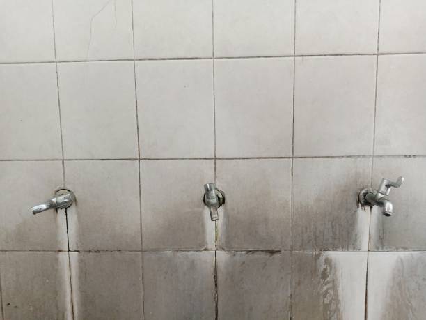 Best Water damage restoration services  in Earlvle, IL