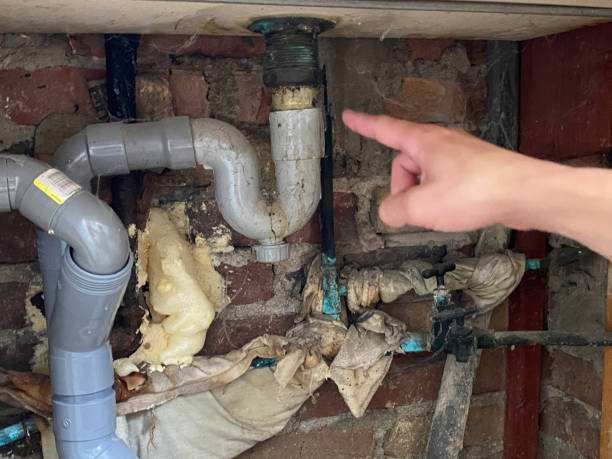 Best Local water damage restoration  in Earlvle, IL