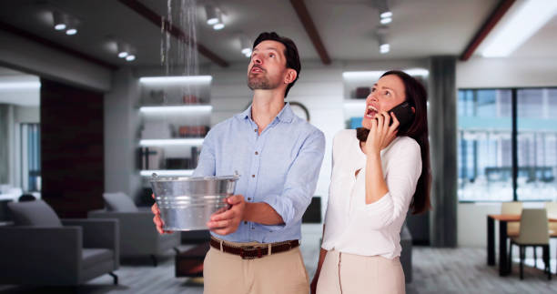 Best 24/7 water damage repair  in Earlvle, IL
