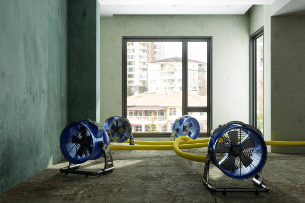 Carpet water damage restoration in IL